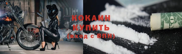 прущие грибы Протвино