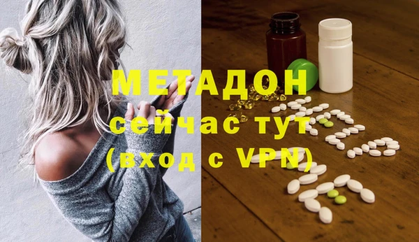 прущие грибы Протвино