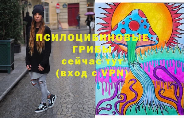 стафф Иннополис