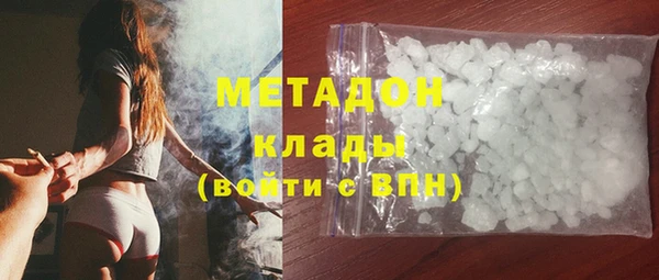 прущие грибы Протвино